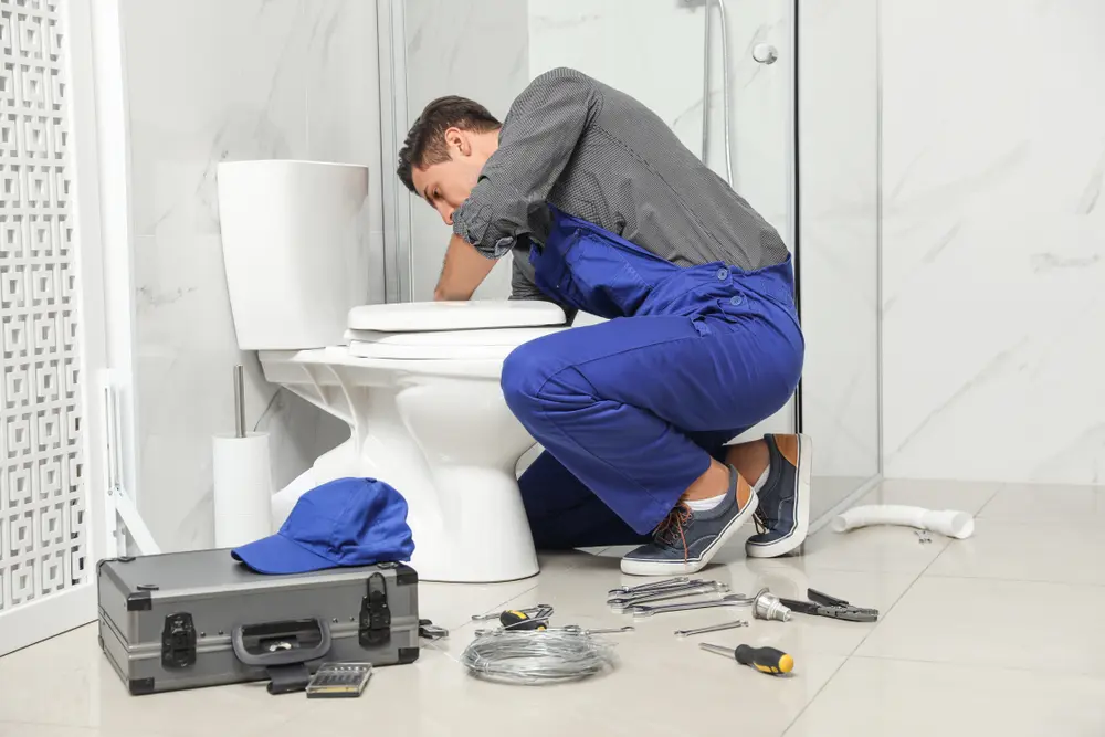 Toilet Installation in Nadine